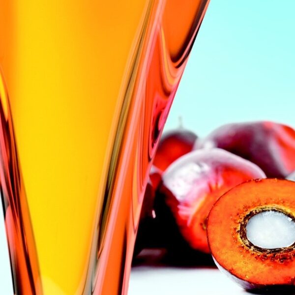 Crude Palm Oil (cpo)