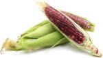 Red Corn/maize For Sale - Image 2