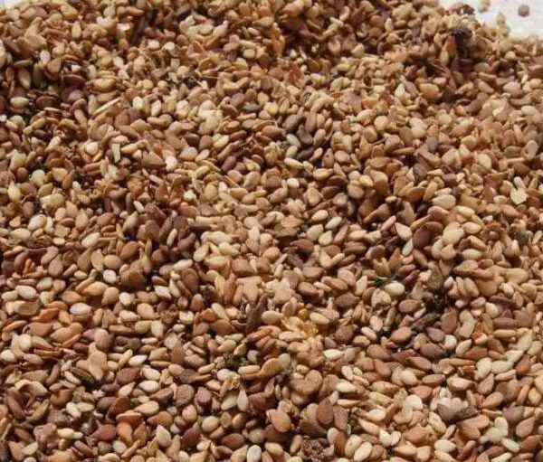 Reddish Sesame Seed