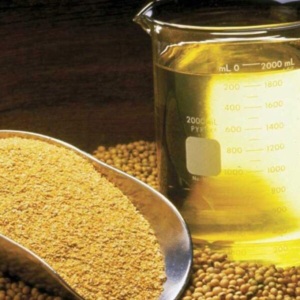Refined Bleached Deodorized (rbd) Soybean Oil