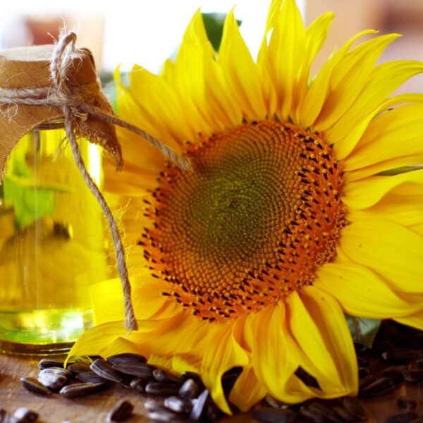 Refined Bleached Deodorized (rbd) Sunflower Oil