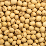 Soya Beans/soybeans