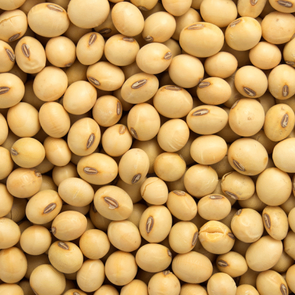Soya Beans/soybeans