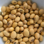 Soya Beans/soybeans - Image 2