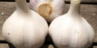 Clove Garlic