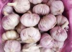 Fresco Ajo & alho