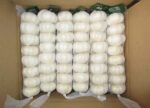Pure White Garlic - Image 2