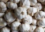 Pure White Garlic - Image 3