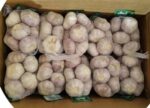 New Crop Fresh Normal White Red Chinese Garlic - Image 2