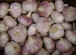 New Crop Fresh Normal White Red Chinese Garlic - Image 3