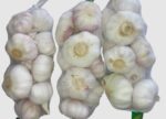 Normal White Garlic - Image 3